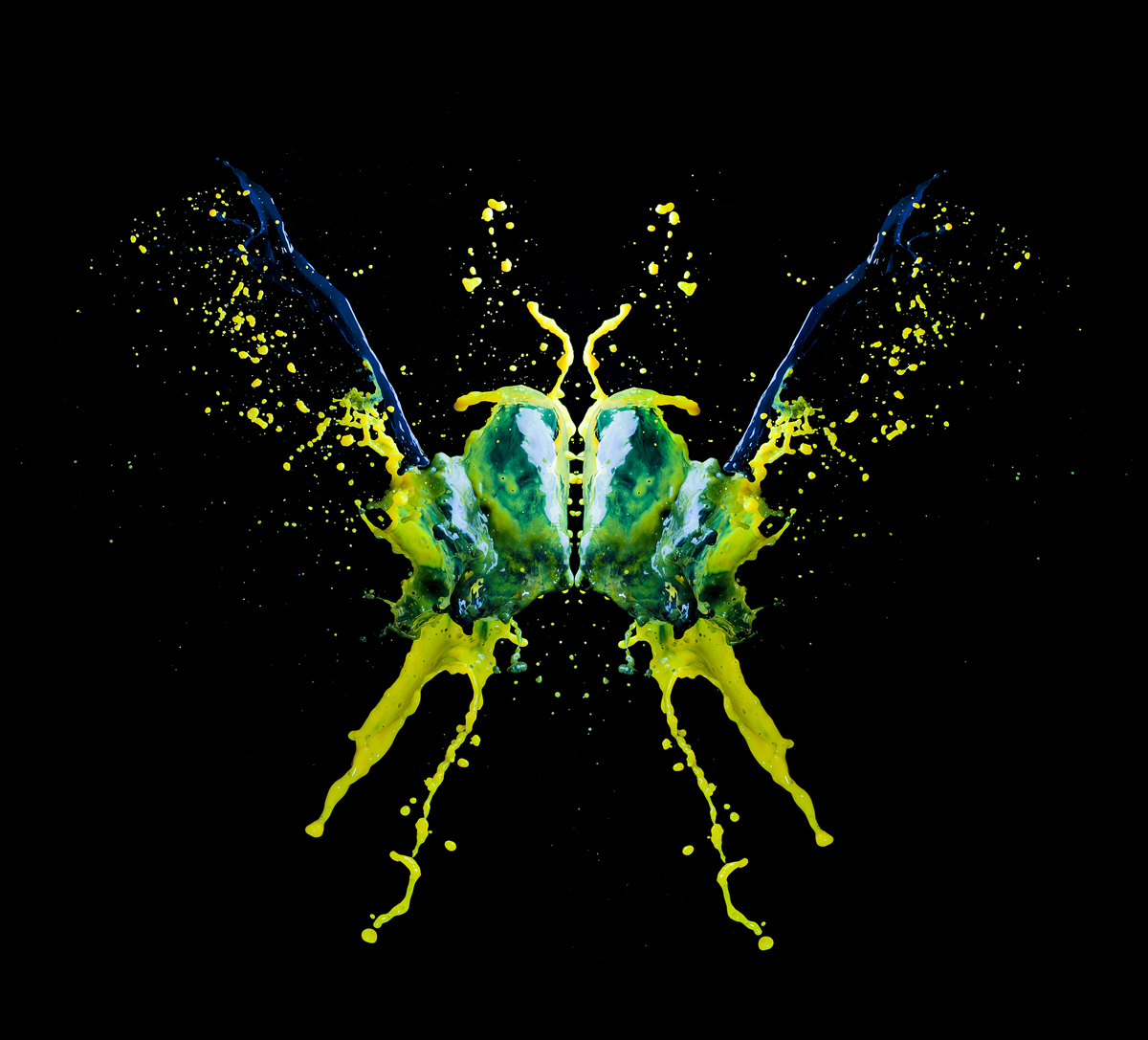S6_23_Insect_februari 1